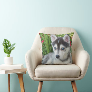 Cojín Decorativo Crea tu propia foto personalizada de tu mascota