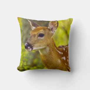 Cojín Decorativo Cria de venado de cola blanca en Whitefish, Montan
