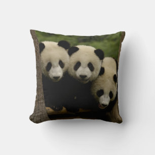 Cojín Decorativo Crías de panda gigante (Ailuropoda melanoleuca)