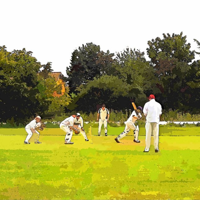COJÍN DECORATIVO CRICKET (Subido por el creador)