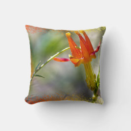 Cojín Decorativo Crimson Columbine Flaming Edge