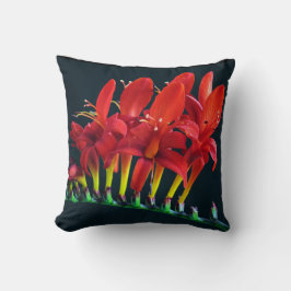 Cojín Decorativo Crocosomia Lucifer Montbretia Floral