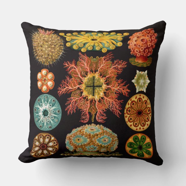 Cojín decorativo cuadrado de la ardilla marina (Anverso)