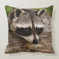 Cojín decorativo cuadrado del mapache