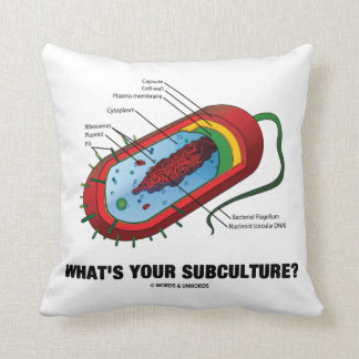 Cojín Decorativo ¿Cuál es su subcultivo? (Bacteria del Prokaryote)