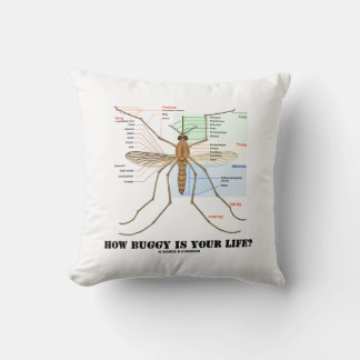 Cojín Decorativo ¿Cuán Buggy Es Tu Vida? Humor de anatomía de mosqu
