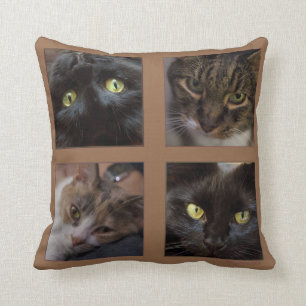 Cojín Decorativo Cuatro gatos de Miriam Kilmer