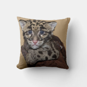 Cojín Decorativo Cubo de leopardo nublado