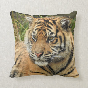 Cojín Decorativo Cubo de tigre de Sumatra