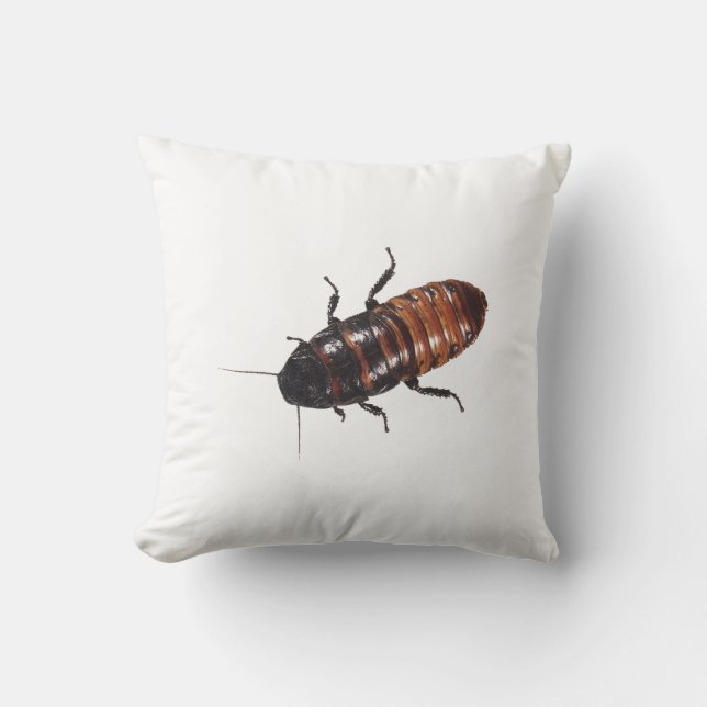 Cojín Decorativo Cucaracha que silba de Madagascar (Anverso)