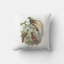 Cuchillo de pájaros