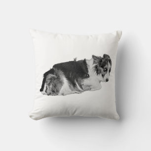 Cojín Decorativo Cuddle aprobada