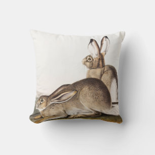 Cojín Decorativo Cuenca de la Montaña Rocosa de Townsend (Lepus Tow