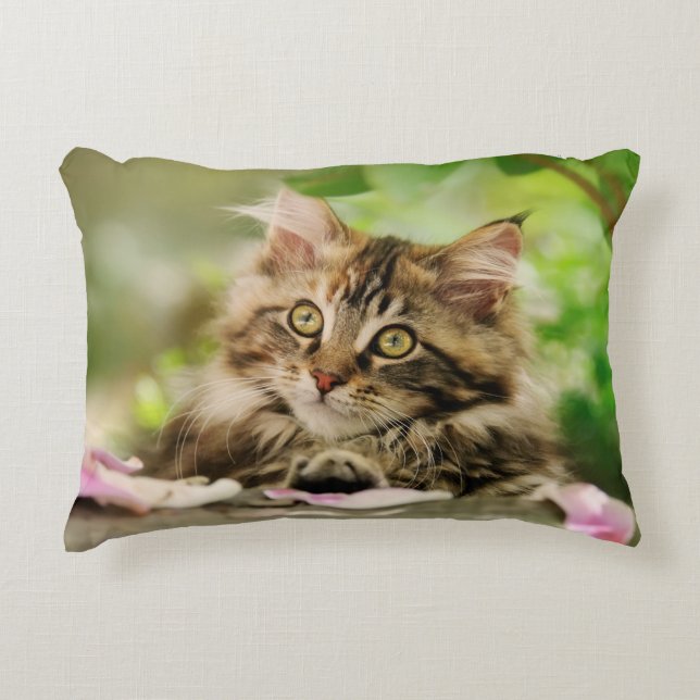 Cojín Decorativo Cuidada Tabby Maine Coon Cat Kitten Fluffy Head Ph (Anverso)