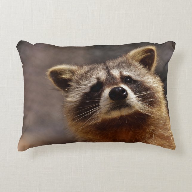 Cojín Decorativo Curiosa foto de Raccoon (Anverso)