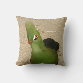 Cojín Decorativo Curioso curioso Guinea Turaco Ave Verde