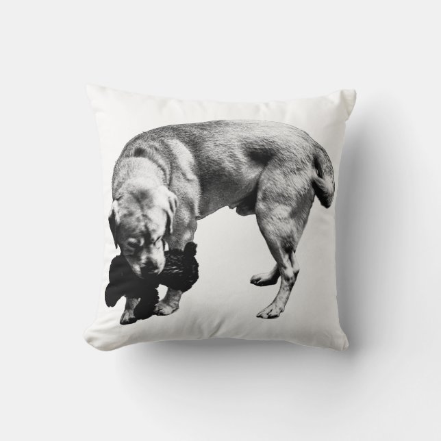 Cojín Decorativo Curva protectora (Anverso)