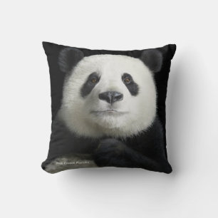 Cojín Decorativo Cushion