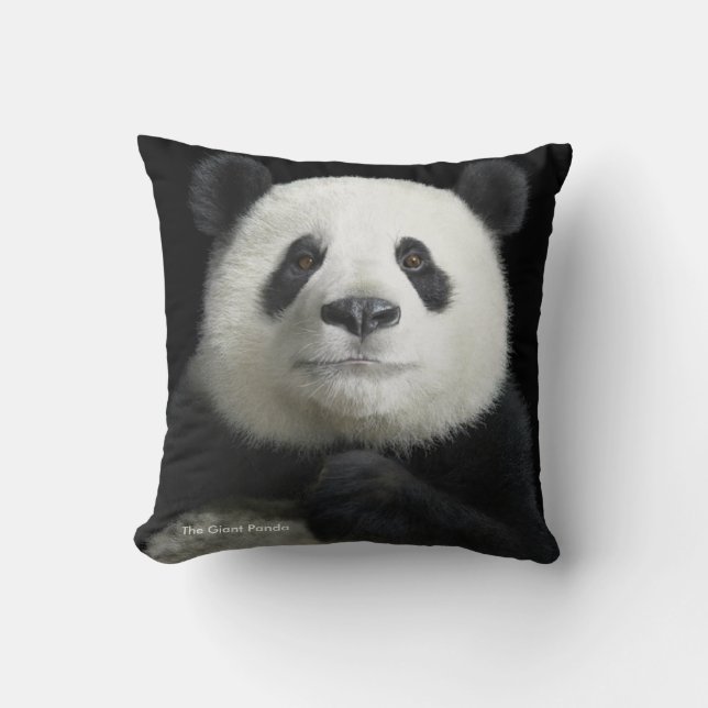 Cojín Decorativo Cushion (Anverso)