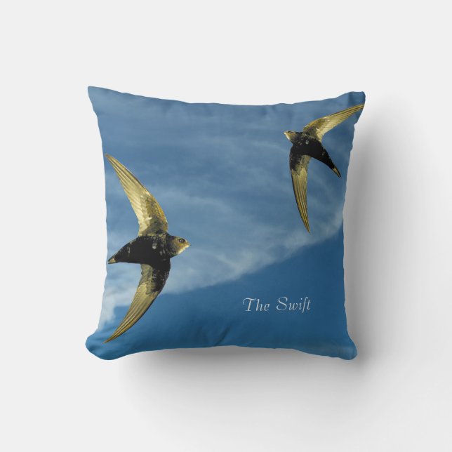 Cojín Decorativo Cushion (Anverso)