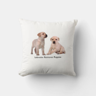 Cojín Decorativo Cushion