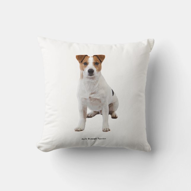 Cojín Decorativo Cushion (Anverso)