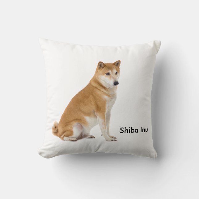 Cojín Decorativo Cushion (Anverso)