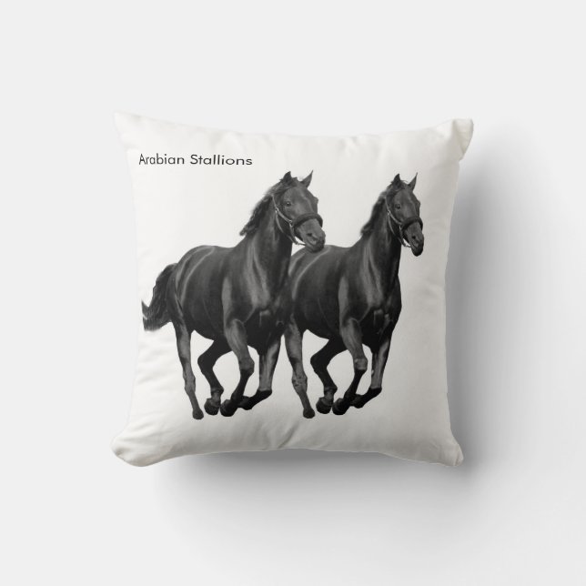 Cojín Decorativo Cushion (Anverso)