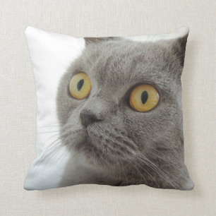 Cojín Decorativo Cushion británico de lanzamiento de gatos cortos 
