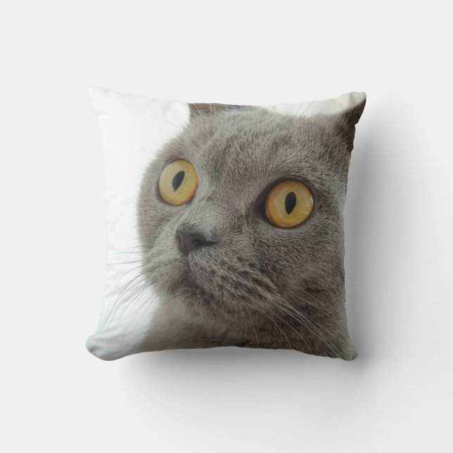 Cojín Decorativo Cushion británico de lanzamiento de gatos cortos c (Anverso)