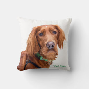 Cojín Decorativo Cushion con el asiento irlandés