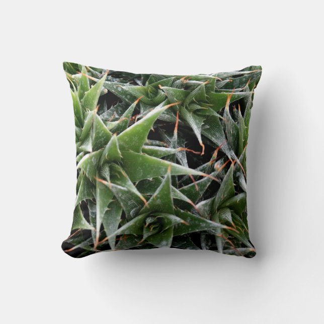 Cojín Decorativo Cushion de lanzamiento de ánimo fresco (Anverso)