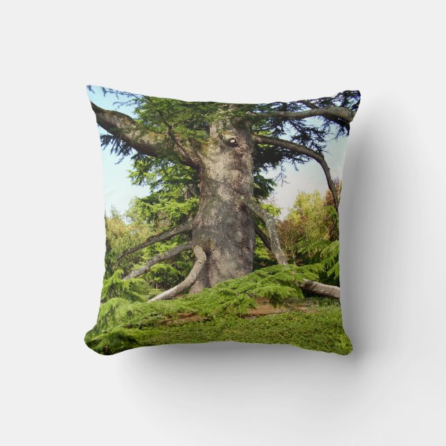 Cojín Decorativo Cushion del árbol del cedro del Líbano (Anverso)