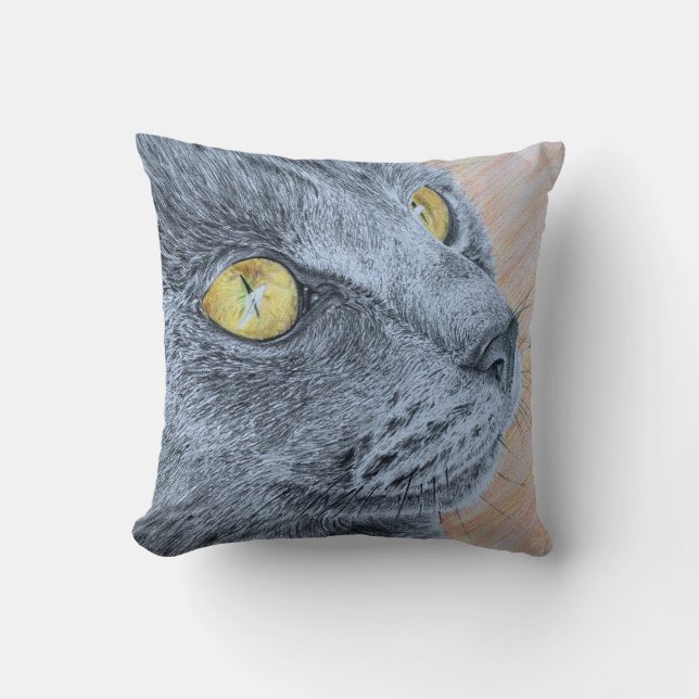 Cojín Decorativo Cushion - Gato Willow (Anverso)
