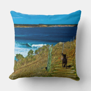 Cojín Decorativo Cushion Grande De Teddy De Cachorro Crestado Chino