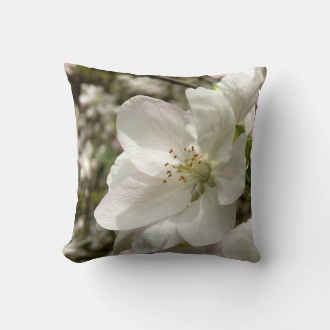 Cojín Decorativo Cushiro de Apple Blossom Throw (Anverso)