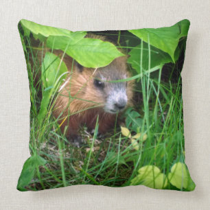 Cojín Decorativo Cute Baby Groundhog Marmotte Murmeltier