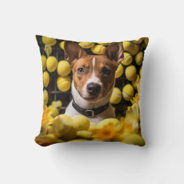 Cojín Decorativo 🐕 Cute Basenji con bolas de tenis