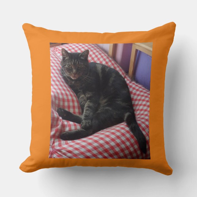 Cojín Decorativo Cute Dave Throw Cushion (Anverso)