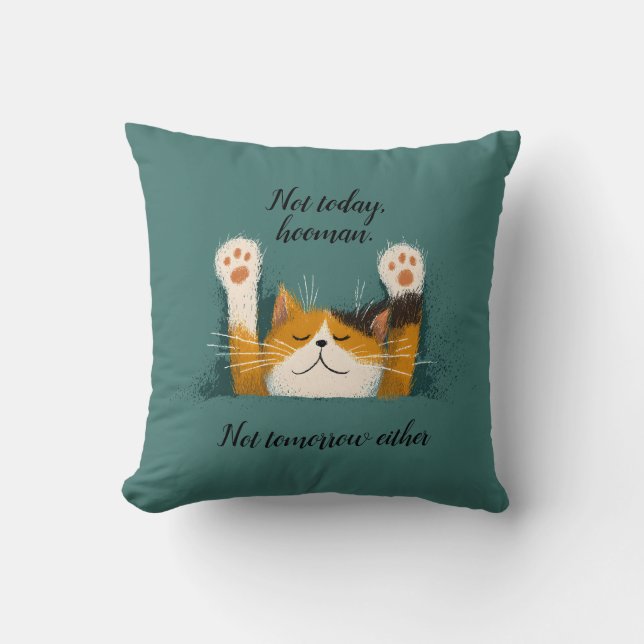 Cojín Decorativo Cute Funny Cat Nap (Anverso)