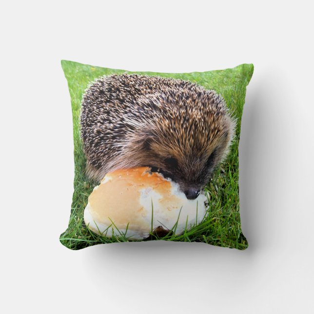 COJÍN DECORATIVO CUTE HEDGEHOG (Anverso)