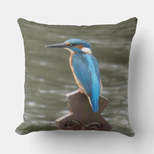 Cojín Decorativo Cute Kingfisher Throw Pillow (Anverso)