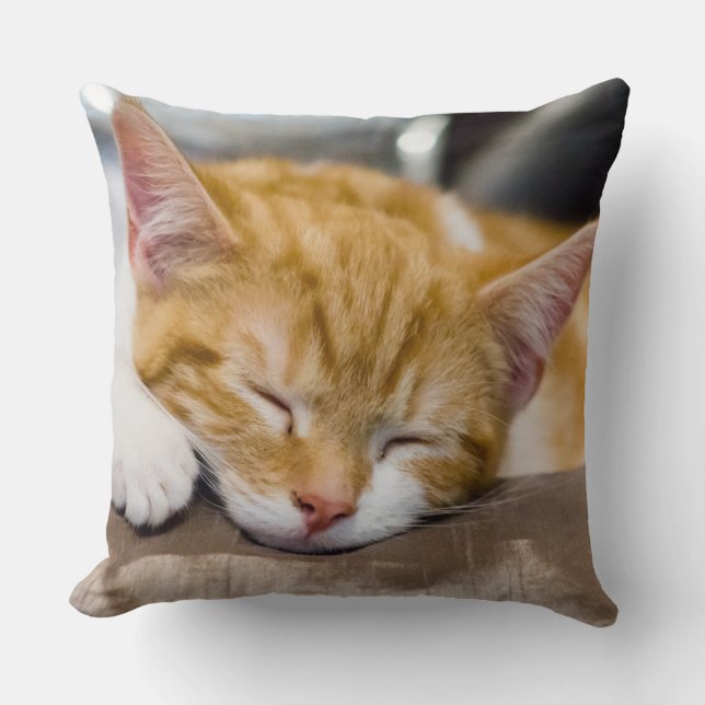 Cojín Decorativo Cute Kitten (Anverso)