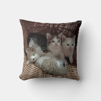 Cojín Decorativo Cute Kittens in Basket Throw Pillow
