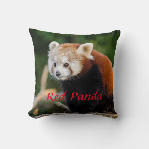 Cojín Decorativo Cute Red Panda Wild Nature Texto rojo