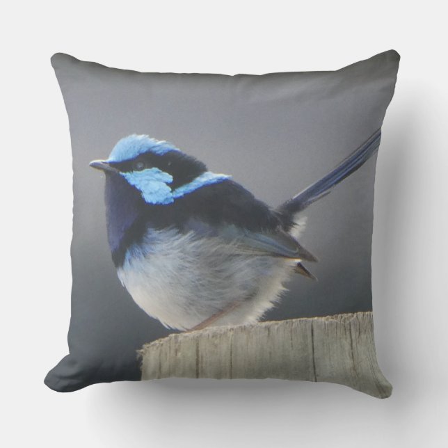 Cojín Decorativo Cute Superb Fairywren Cushion (Anverso)