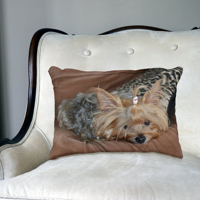 Cojín Decorativo Cute Yorkshire Terrier Puppy (Subido por el creador)