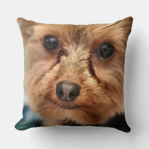 Cojín Decorativo Cuto