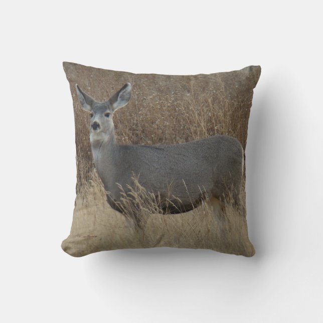 Cojín Decorativo D14 Mule Deer Doe (Anverso)