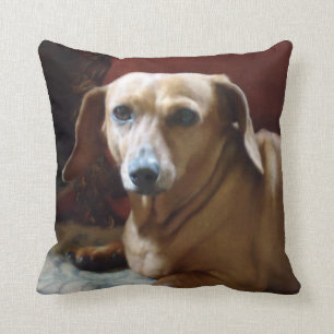 Cojín Decorativo Dachshund